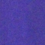 Purple Swatch